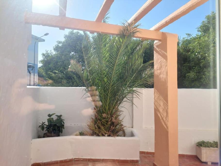 شقة Piscina, Wifi, Patio Con Vistas طريفة المظهر الخارجي الصورة