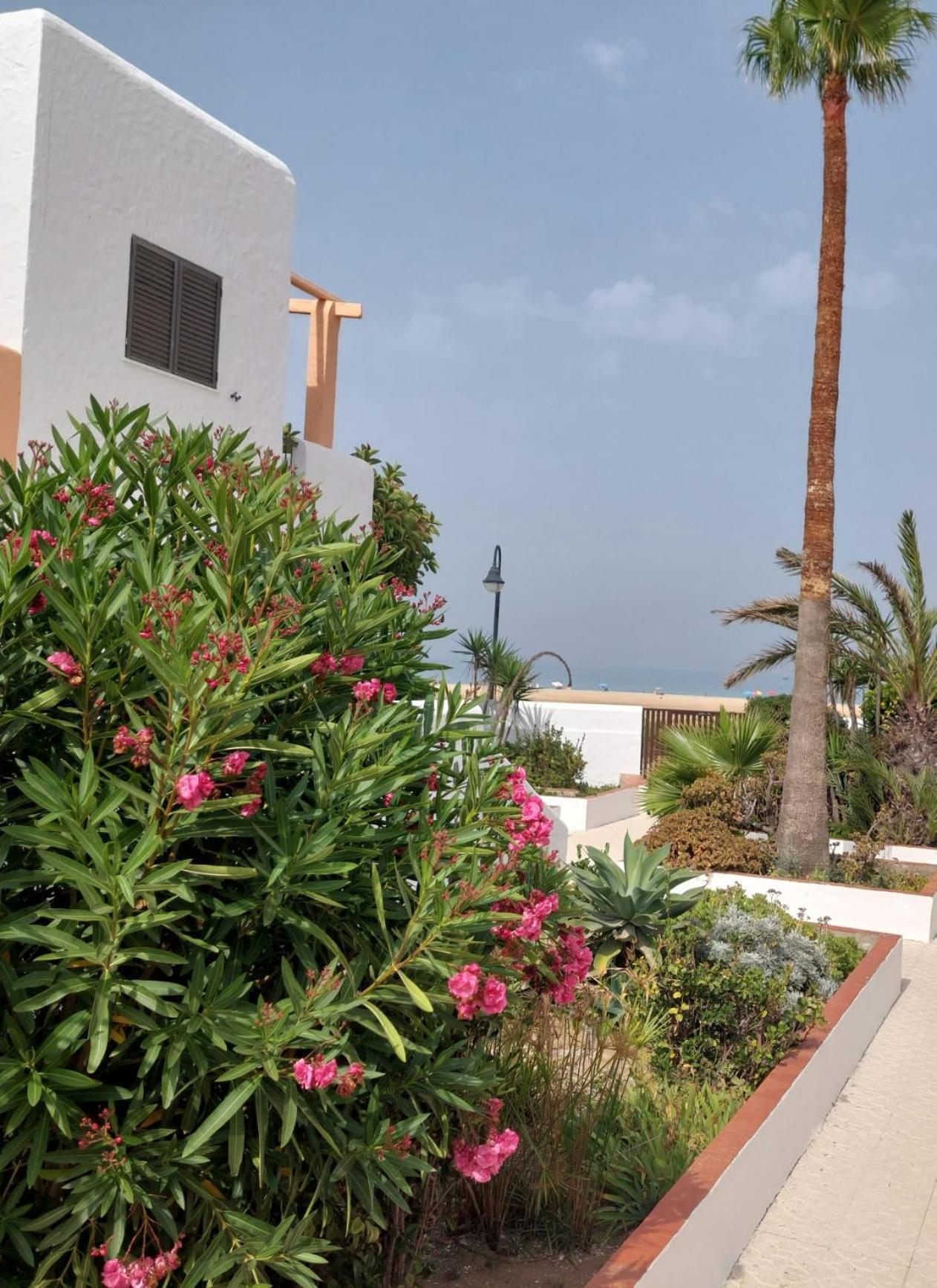 شقة Piscina, Wifi, Patio Con Vistas طريفة المظهر الخارجي الصورة